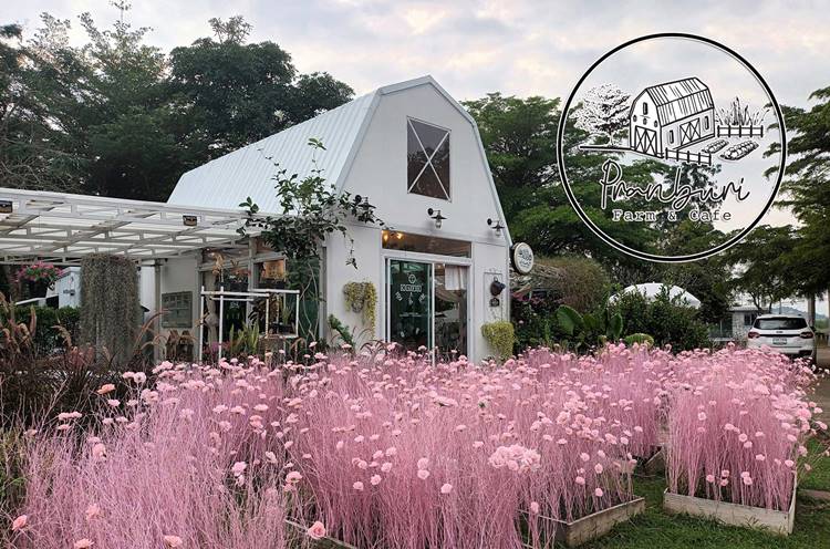 ที่พักที่ปราณบุรีน้องหมาพักได้