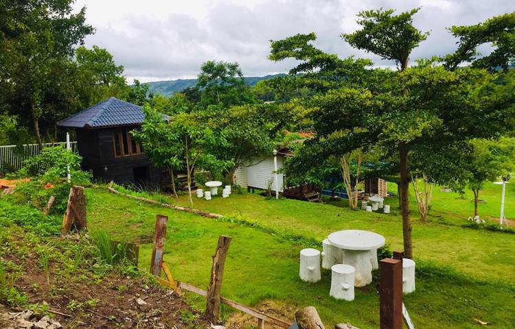 ที่พักเขาค้อน้องหมาพักได้