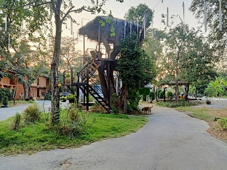 ที่พักบ้านโป่งราชบุรีน้องหมาพักได้