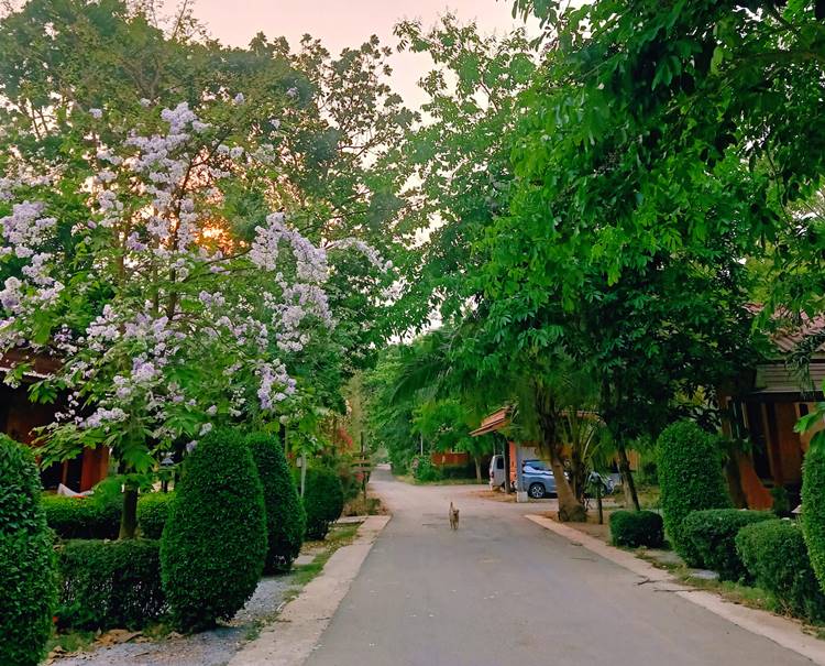 ที่พักบ้านโป่งราชบุรีน้องหมาพักได้
