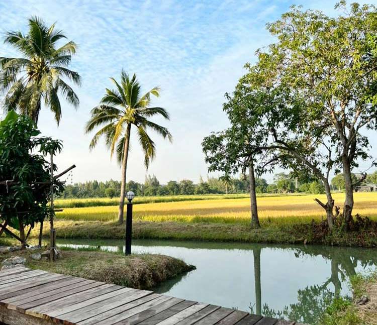 ที่พักโพธารามราชบุรีหมาพักได้
