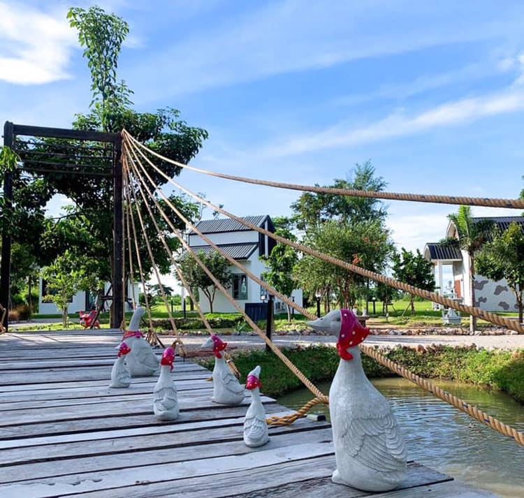 ที่พักโพธารามราชบุรีหมาพักได้
