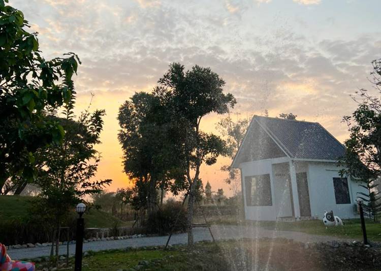 ที่พักโพธารามราชบุรีหมาพักได้