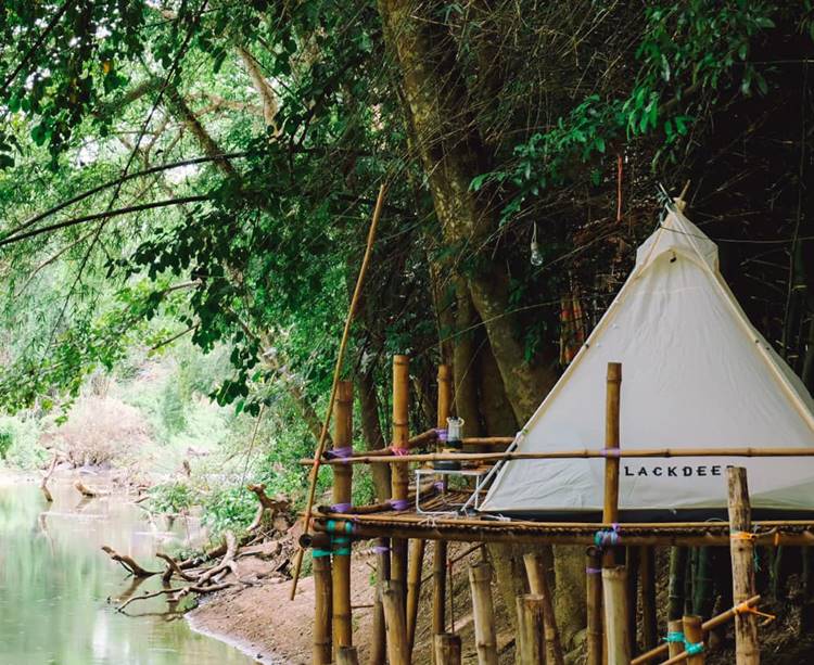 ลานกางเต็นท์สวนผึ้งน้องหมาพักได้