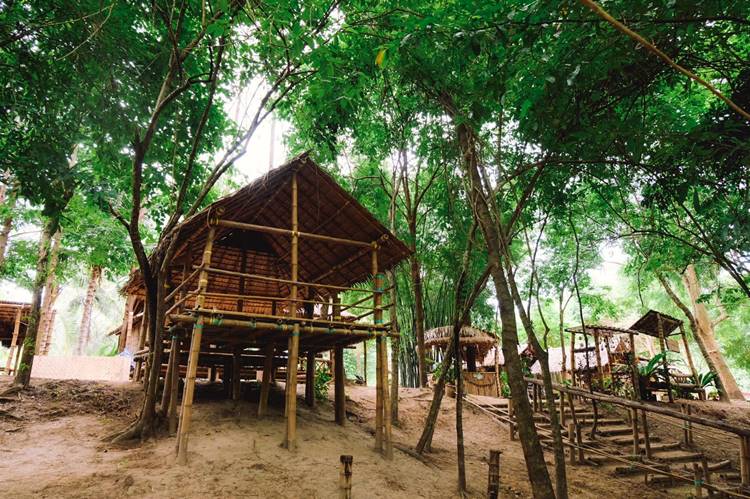 ลานกางเต็นท์สวนผึ้งน้องหมาพักได้