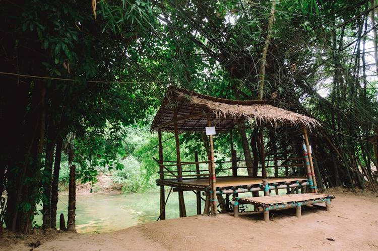 ลานกางเต็นท์สวนผึ้งน้องหมาพักได้