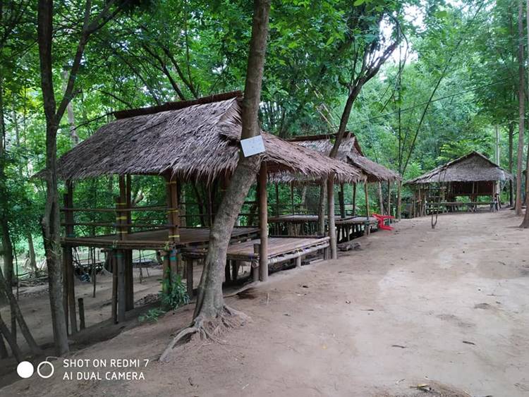 ลานกางเต็นท์สวนผึ้งน้องหมาพักได้