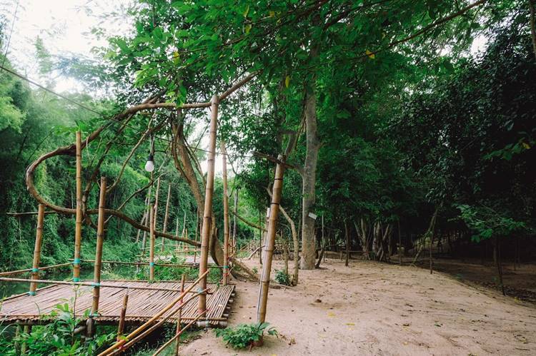 ลานกางเต็นท์สวนผึ้งน้องหมาพักได้