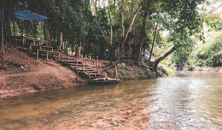 ลานกางเต็นท์สวนผึ้งน้องหมาพักได้