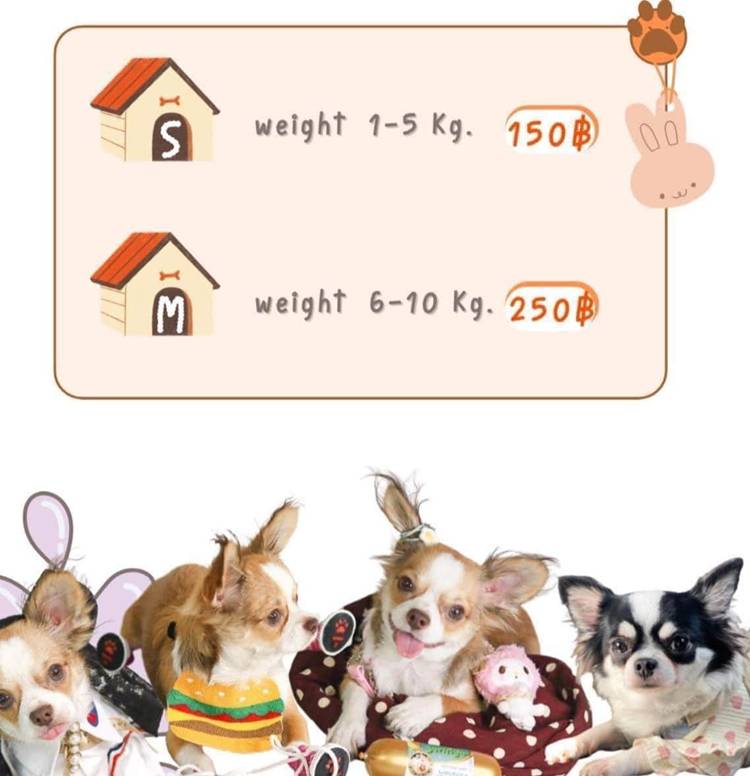 ระนองน้องหมาพักได้