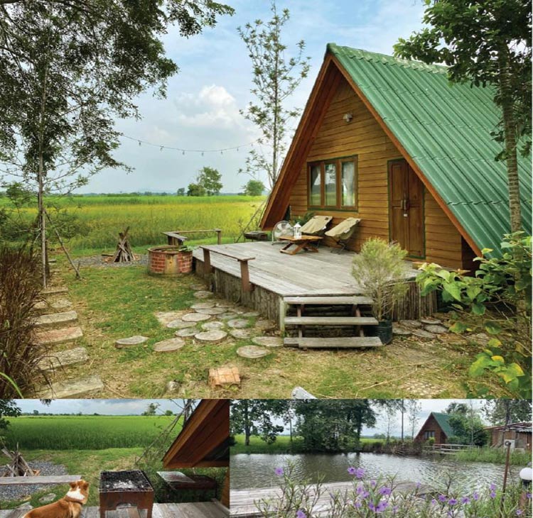 ที่พักสระบุรีน้องหมาพักได้