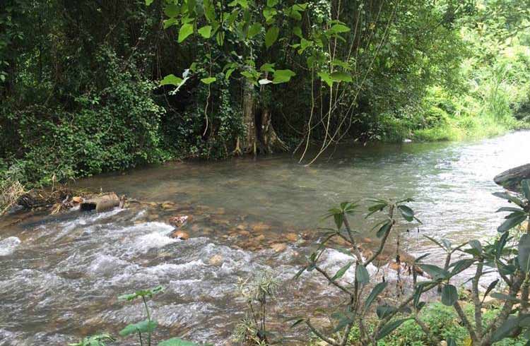 ที่พักในสระบุรีน้องหมาพักได้