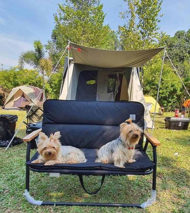 ที่พักในสระบุรีน้องหมาพักได้