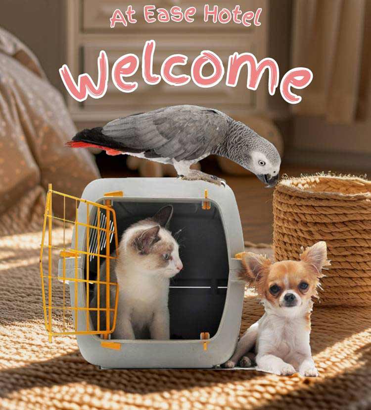 ที่พักใกล้สุวรรณภูมิน้องหมาพักได้