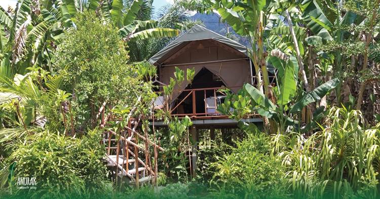 ที่พักเขาสกสุราษน้องหมาพักได้