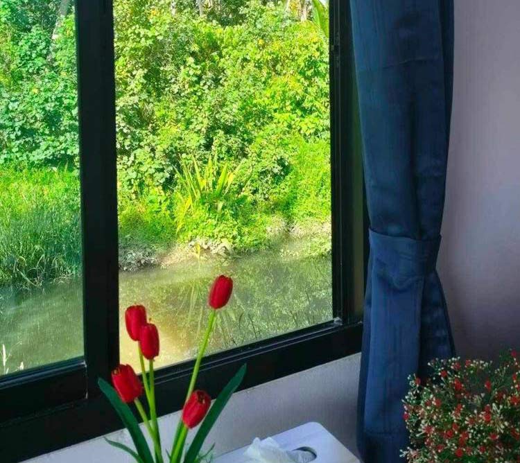 สุราษฎร์ธานีน้องหมาพักได้