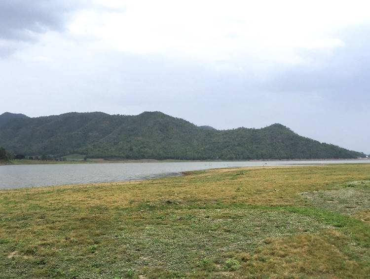 ลานกางเต๊นท์สุพรรณหมาพักได้
