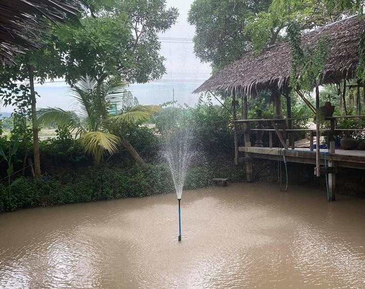 ที่พักสุพรรณน้องหมาพักได้