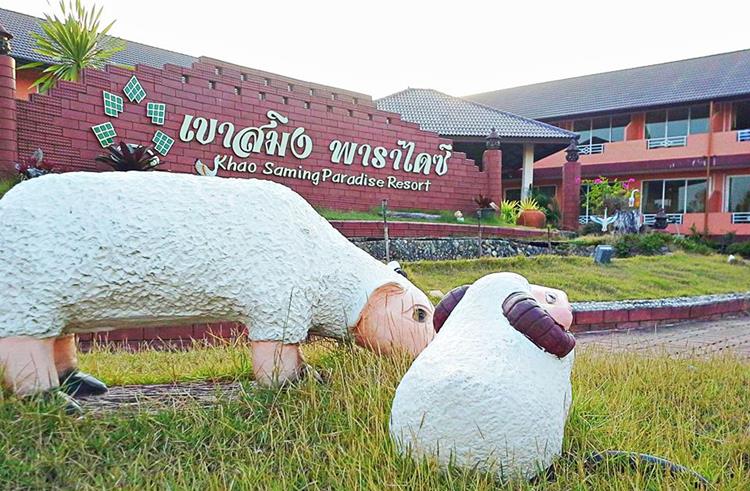 ที่พักคราดน้องหมาพักได้