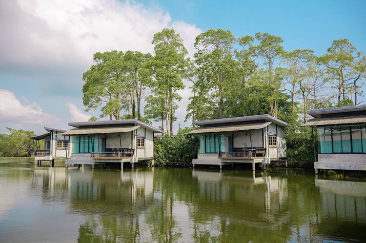ที่พักตราดไม่ข้ามเกาะน้องหมาพักได้