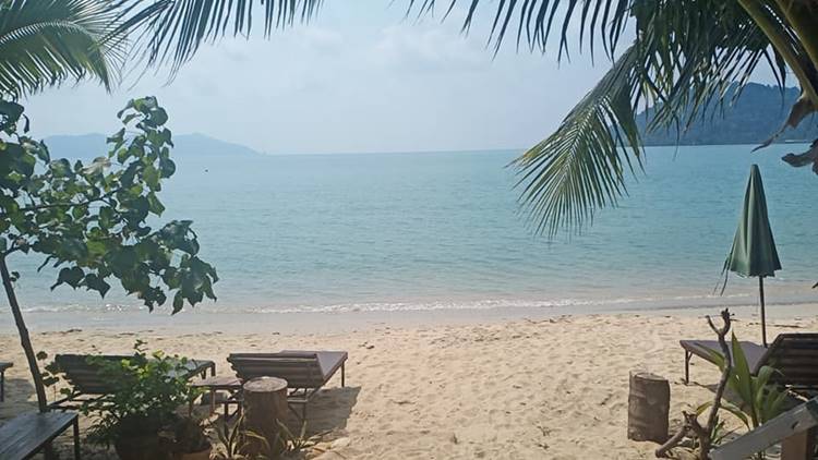 ที่พักเกาะช้างน้องหมาพักได้