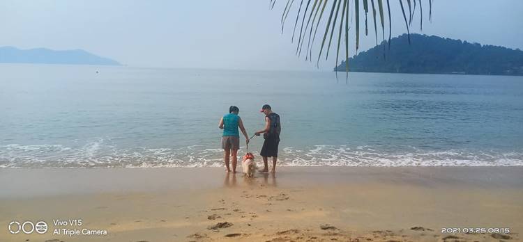 ที่พักเกาะช้างน้องหมาพักได้