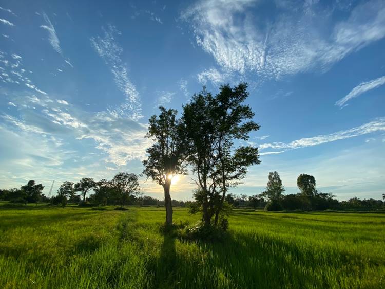 ที่พักในเมืองอุดรน้องหมาพักได้