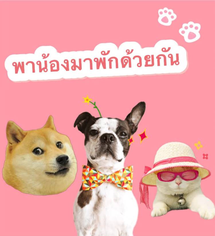ที่พักในเมืองอุดรน้องหมาพักได้