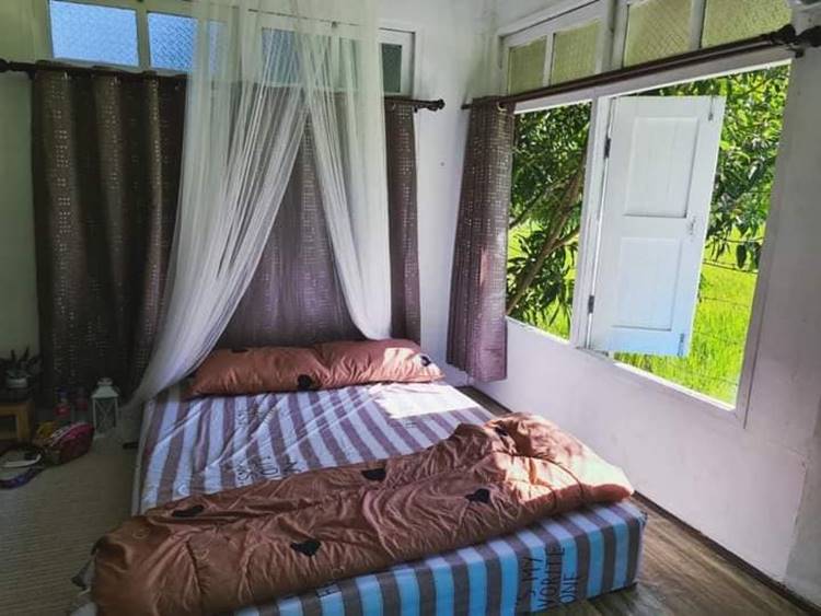 ที่พักอุทัยธานีน้องหมาพักได้