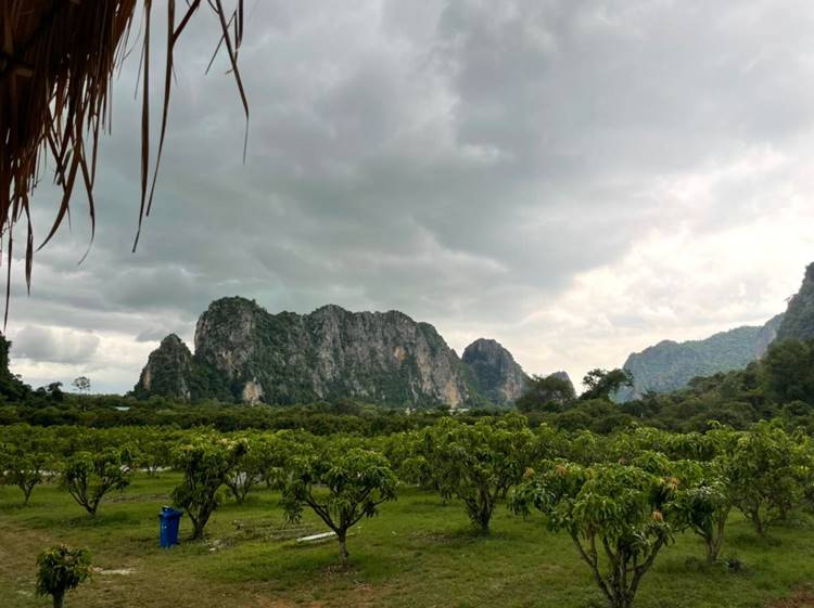 ที่พักอุทัยธานีน้องหมาพักได้