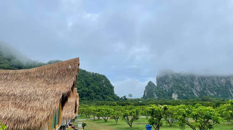 ที่พักอุทัยธานีน้องหมาพักได้