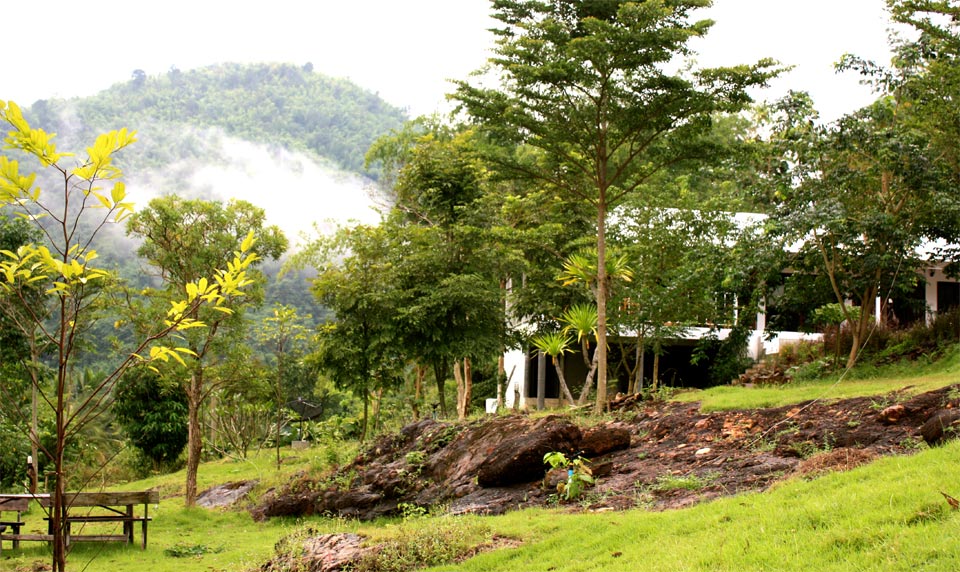 บ้านพราวฟ้าน้องหมาพักได้ สวนผึ้ง