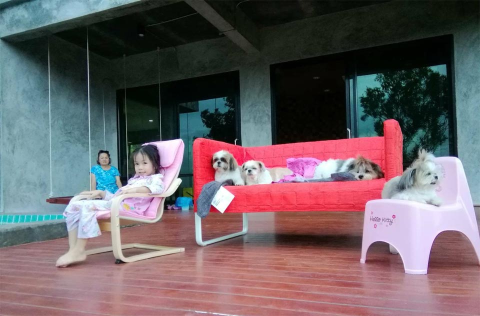 บ้านพักส่วนตัว FillFeel น้องหมาพักได้
