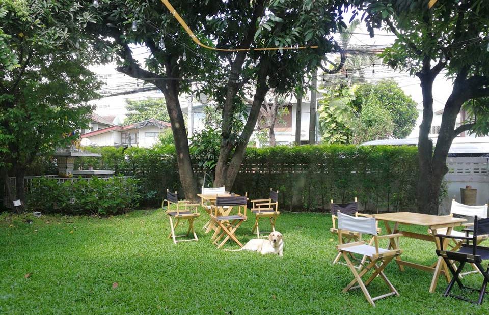 ที่พักกรุงเทพน้องหมาพักได้