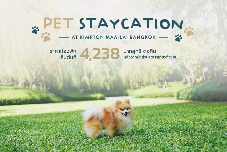 โรงแรมกรุงเทพน้องหมาพักได้