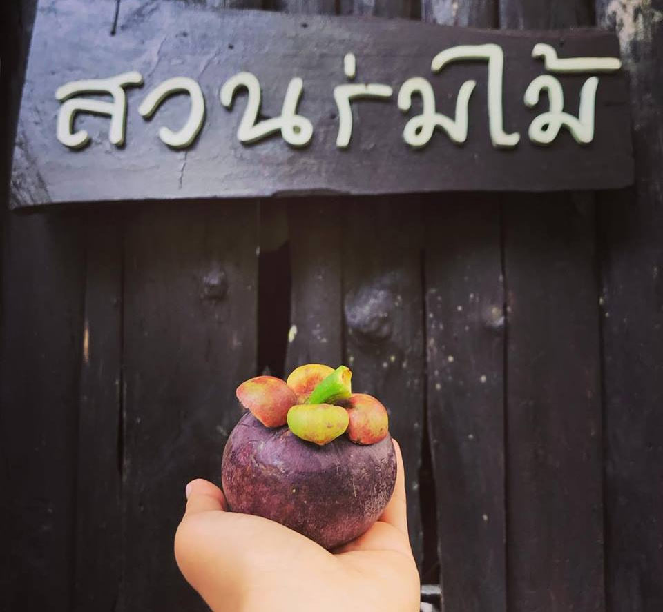 บ้านพักในขลุงน้องหมาพักได้