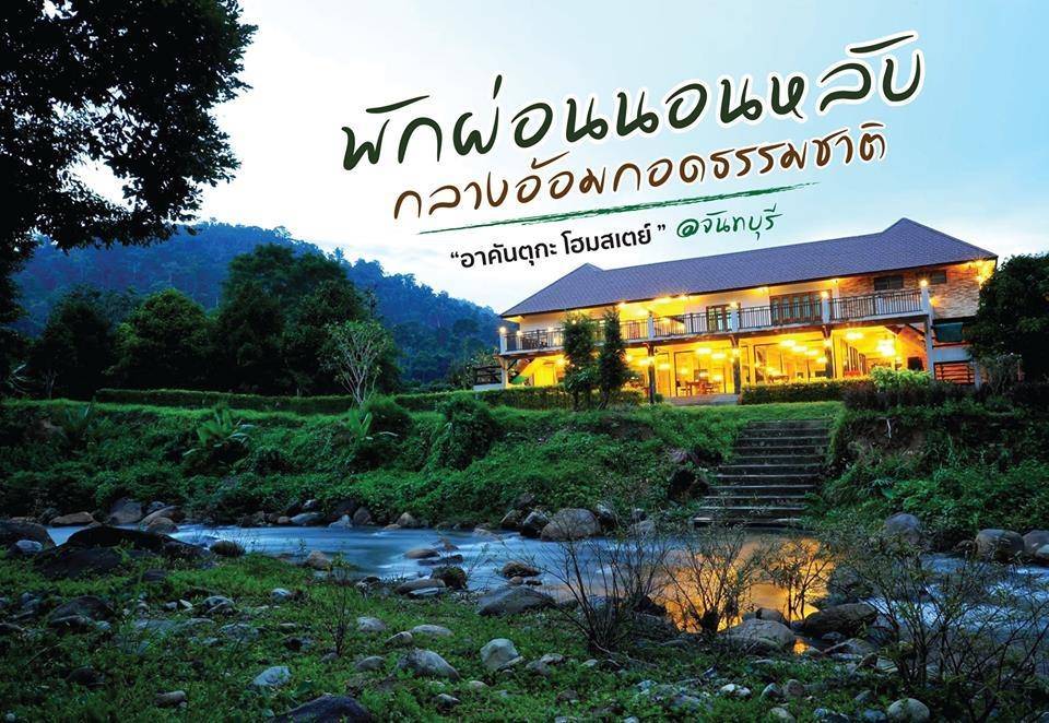 น้องหมาพักได้เมืองจันท์
