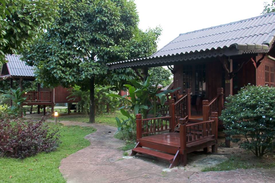 น้องหมาพักได้เมืองจันท์