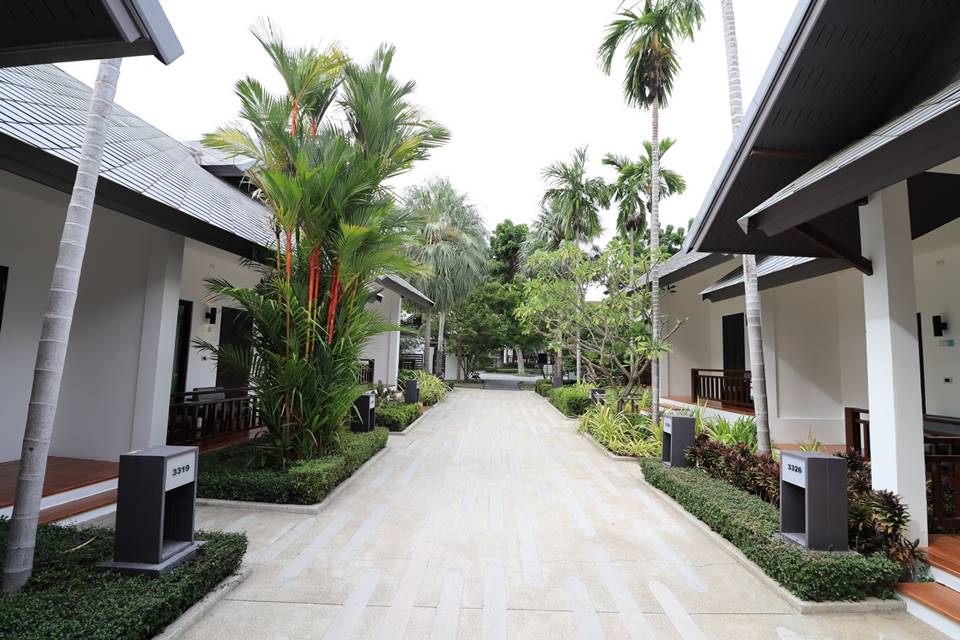 ที่พักพัทยาเหนือหมาพักได้