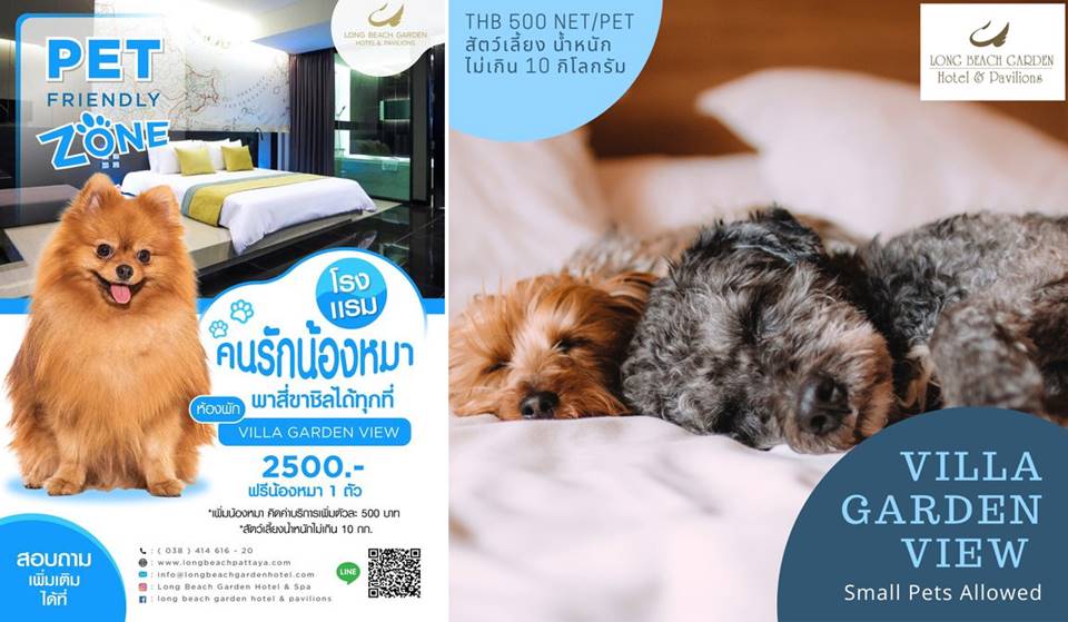 ที่พักพัทยาเหนือหมาพักได้