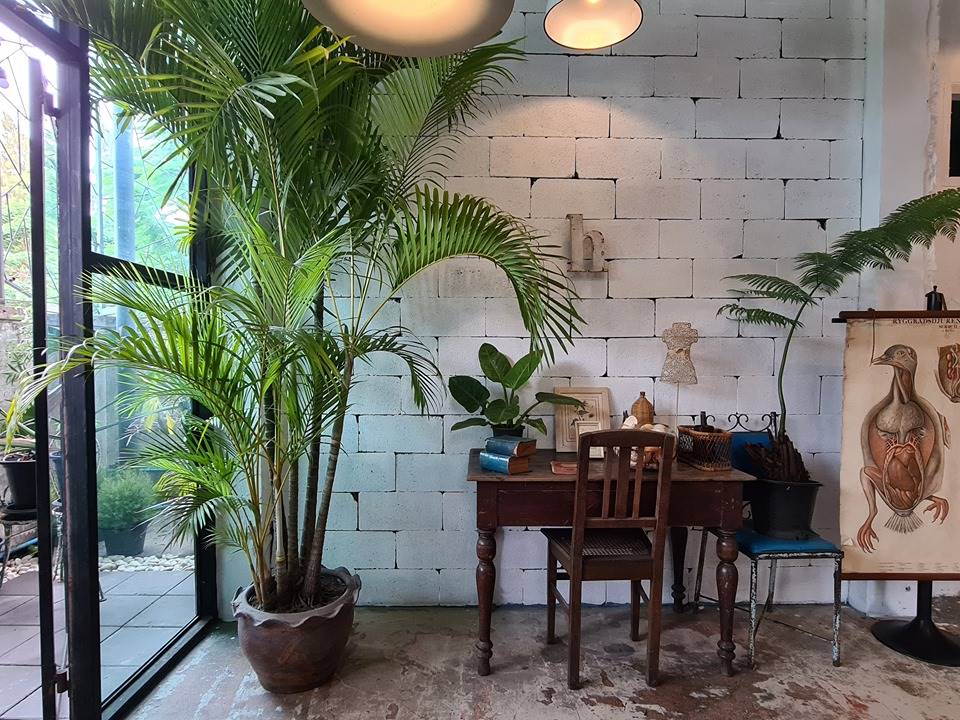 ที่พักบางแสนน้องหมาพักได้