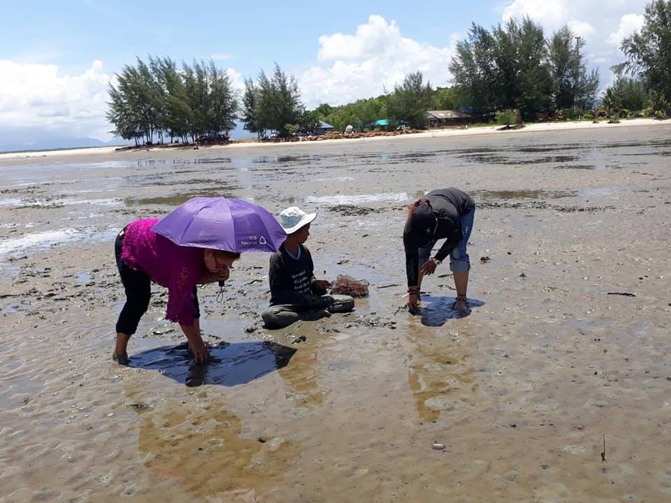 ที่พักชายหาดตราดหมาพักได้