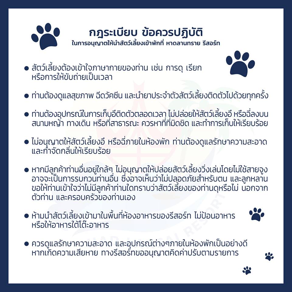 ที่พักชายหาดตราดหมาพักได้