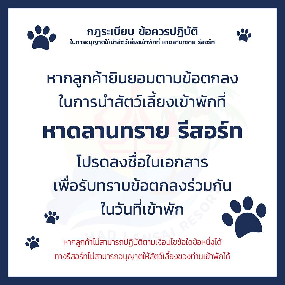ที่พักชายหาดตราดหมาพักได้