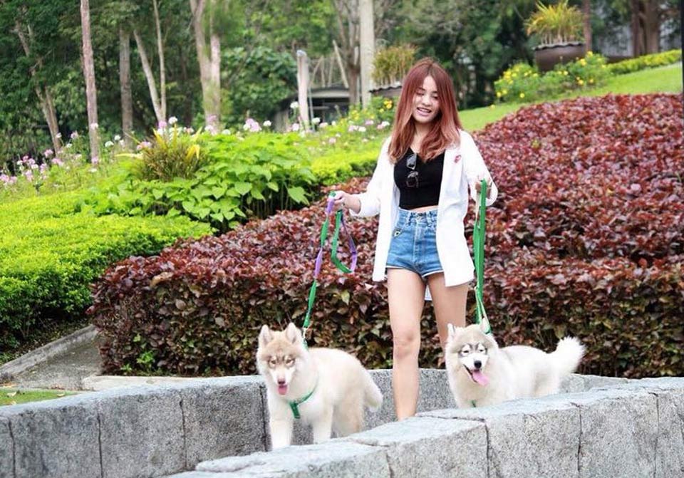ที่พักระยองน้องหมาพักได้