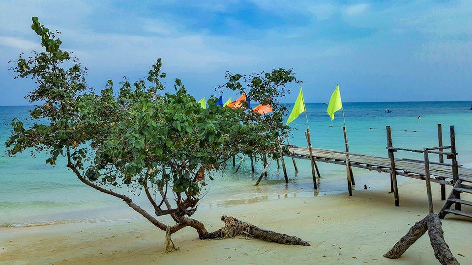 ที่พักเกาะเสม็ดหมาพักได้