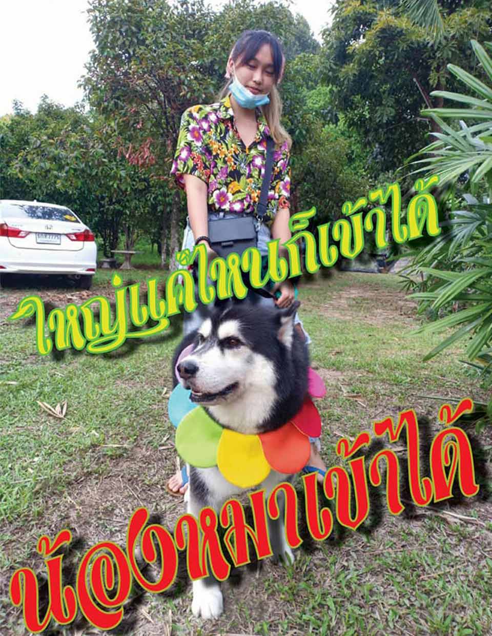 ที่พักหมาพักได้นครนายก