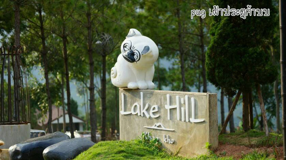 ที่พักเขาค้อหมาพักได้