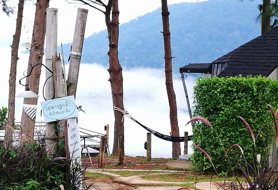 ที่พักเขาค้อหมาพักได้