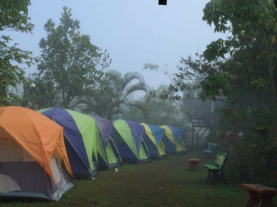 ที่พักเขาค้อน้องหมาพักได้
